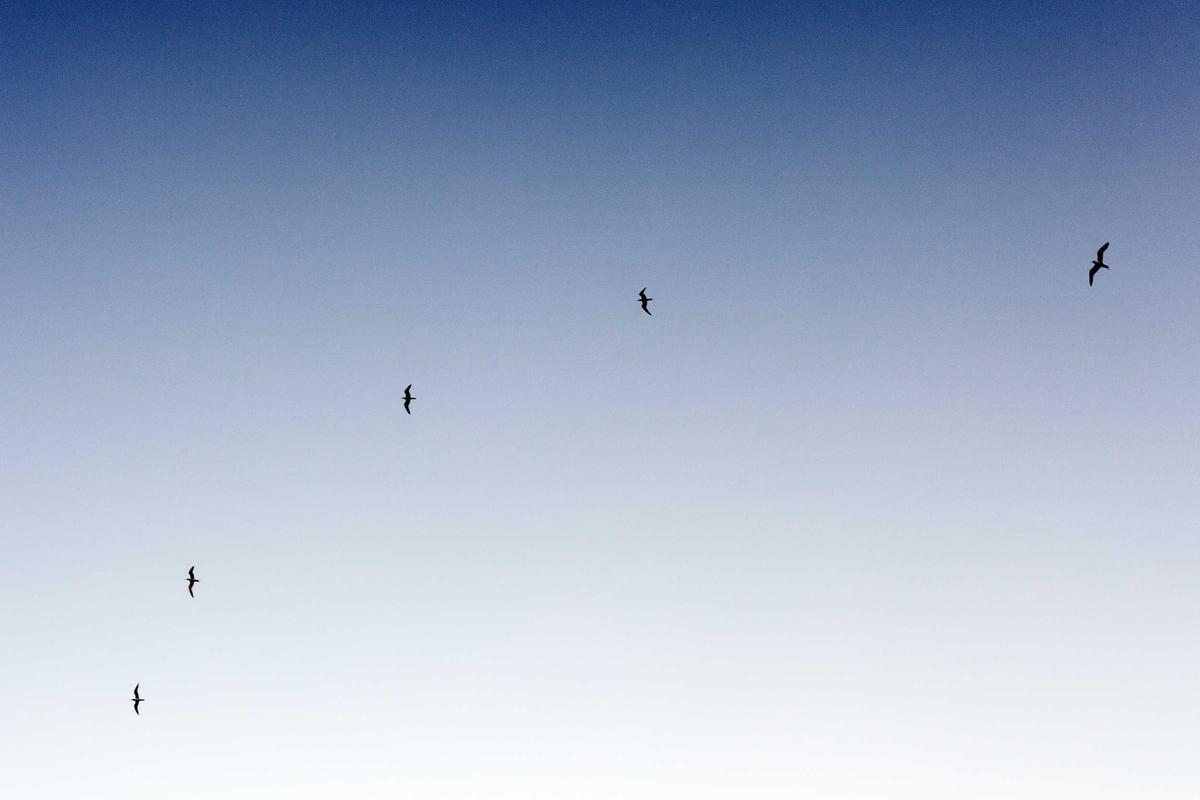 Mengenal Smartwatch Olike Horizon W12 & Aplikasi Active Olike Terbaru