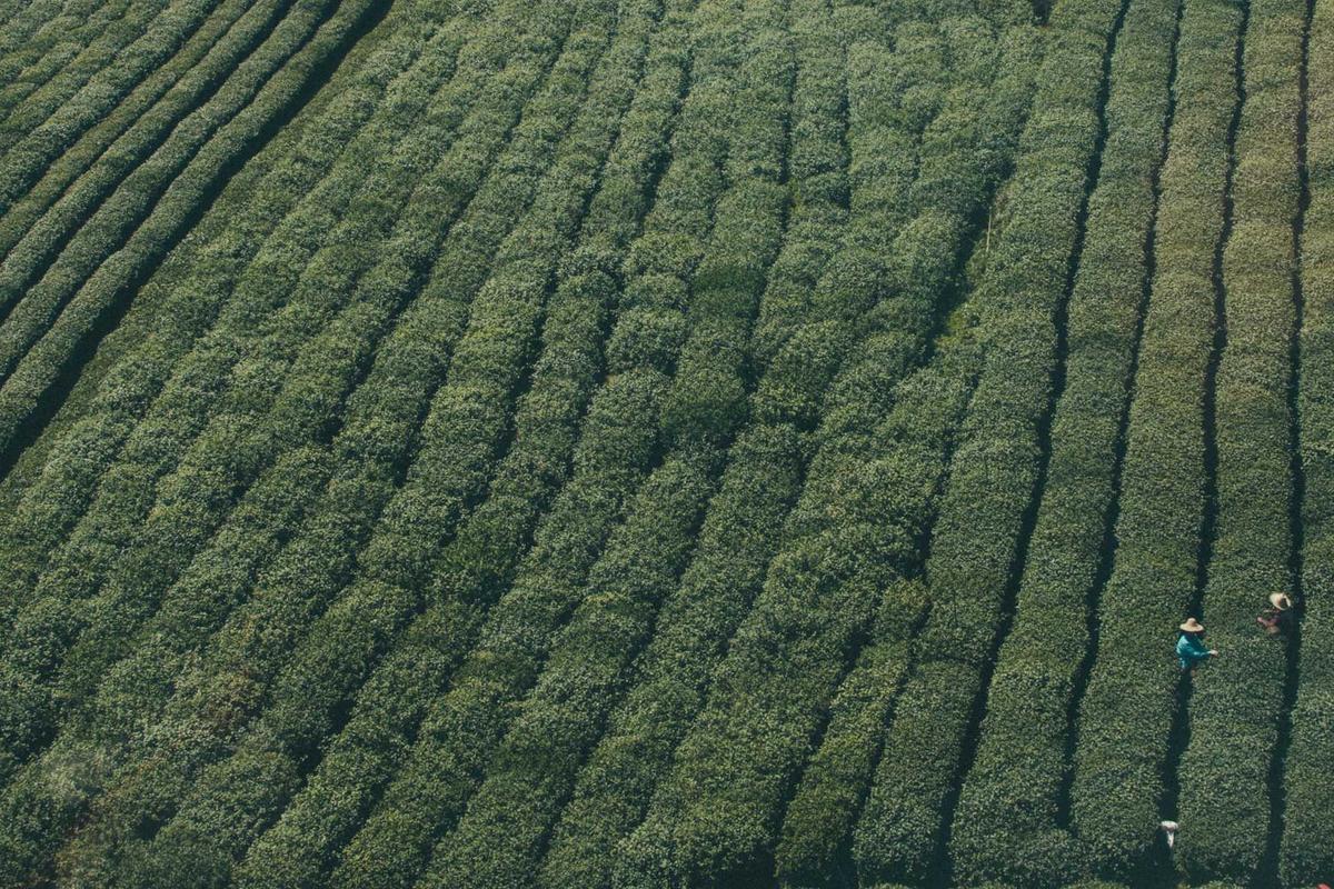 Rilis di RI, Yuk Intip Harga HUAWEI WATCH GT 6 & HUAWEI Pura 80 Series