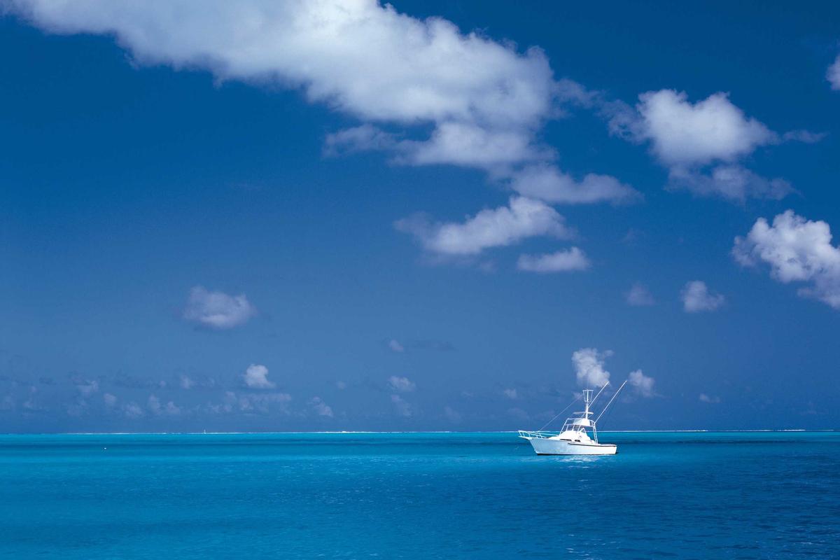 Rilis di RI, Yuk Intip Harga HUAWEI WATCH GT 6 & HUAWEI Pura 80 Series