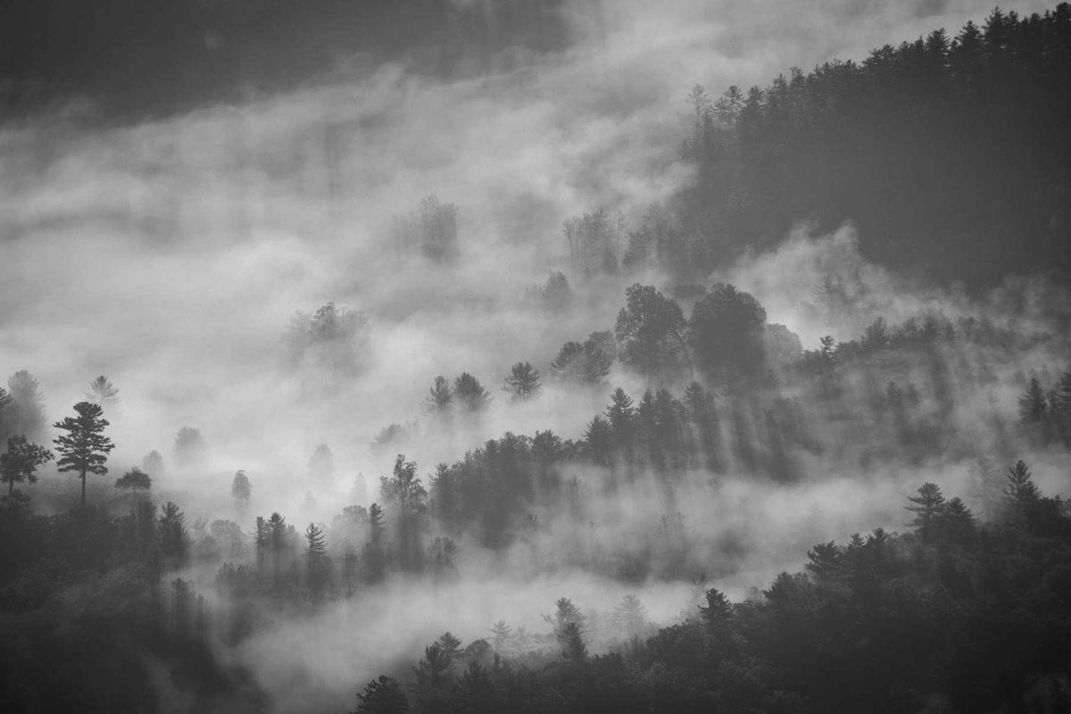 Rilis di RI, Yuk Intip Harga HUAWEI WATCH GT 6 & HUAWEI Pura 80 Series