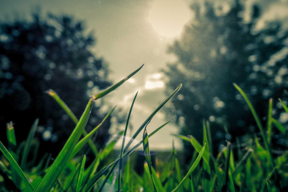 Rilis di RI, Yuk Intip Harga HUAWEI WATCH GT 6 & HUAWEI Pura 80 Series