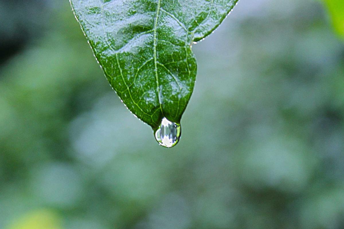 Rilis di RI, Yuk Intip Harga HUAWEI WATCH GT 6 & HUAWEI Pura 80 Series