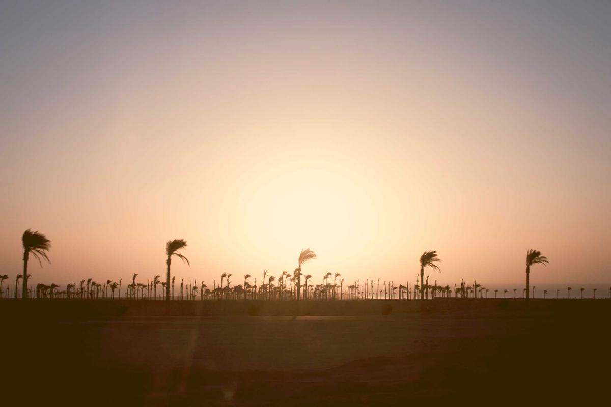 Mengintip Spesifikasi OnePlus Watch 4: Sensasi Material Titanium dan OS Terbaru!