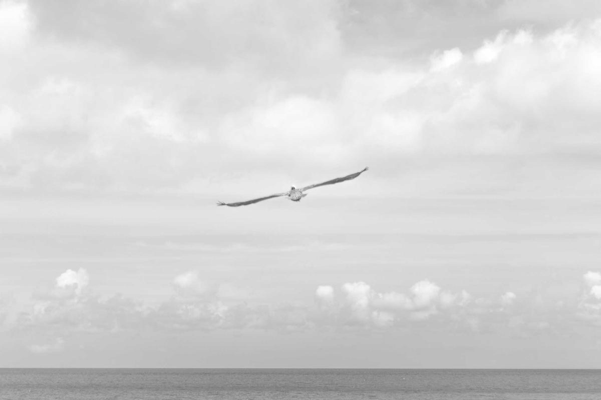 Harga Rp2 Juta, Huawei Watch FIT 5 Series Bisa Deteksi Diabetes